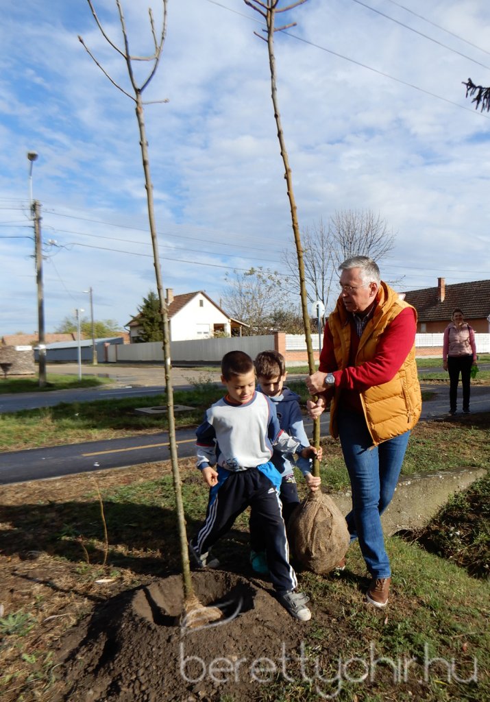 Közösségi faültetés Berettyóújfaluban 02